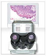 Advanced Imaging Concepts AIC Digital Imaging for Microscopy Pathology Image Database Scientific Image Archiving Image Analysis for microscopes. New and Used Microscopes and Microscope Accessories Digital Imaging Image Database