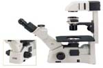 Motic Microscopes with CCIS optics allows the AE30 and the AE31 inverted microscopes to use the CCIS infinity design which has longer working distance objectives with higher numerical apertures. Great for Tissue Culture microscopes.